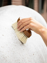 LeMieux Artisan Deep Clean Dandy Brush Brown